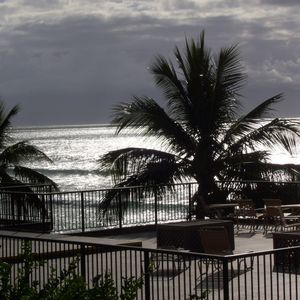 Meet your Posher, Robin